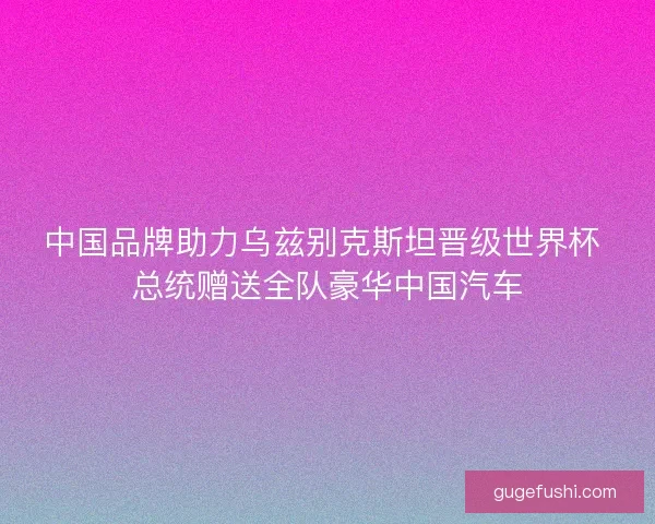 中国品牌助力乌兹别克斯坦晋级世界杯 总统赠送全队豪华中国汽车