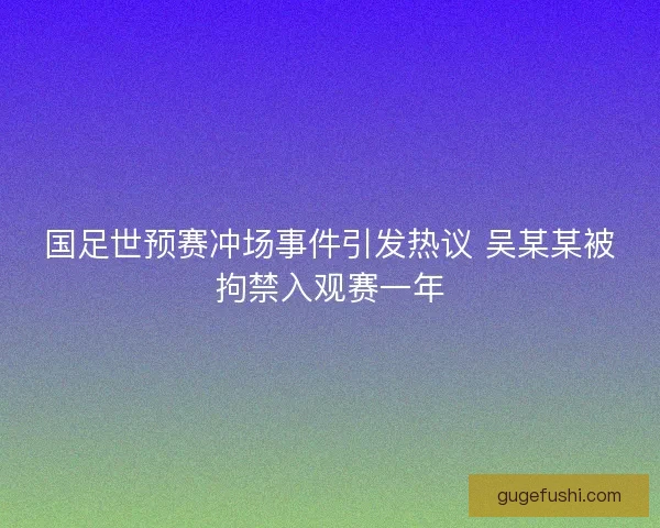 国足世预赛冲场事件引发热议 吴某某被拘禁入观赛一年 国足世预赛冲场事件引发热议 吴某某被拘禁入观赛一年